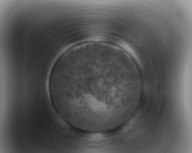 X0000088921283200706151918