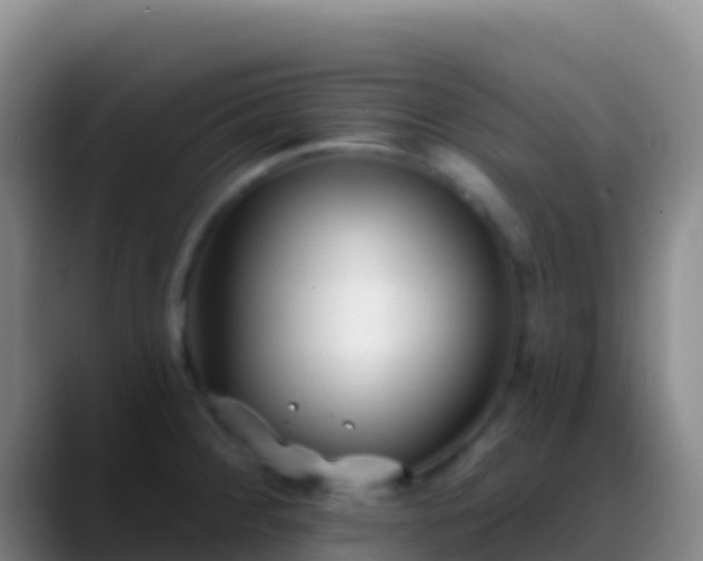 X0000088921284200706151918