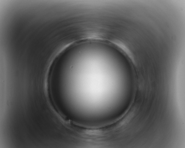 X0000088921285200706151918