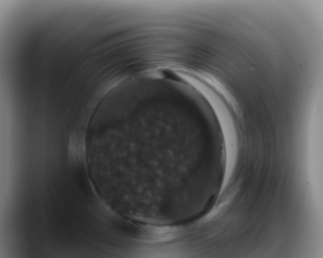 X0000088921289200706151918