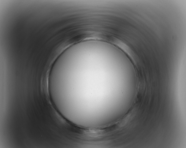 X0000088921290200706151918