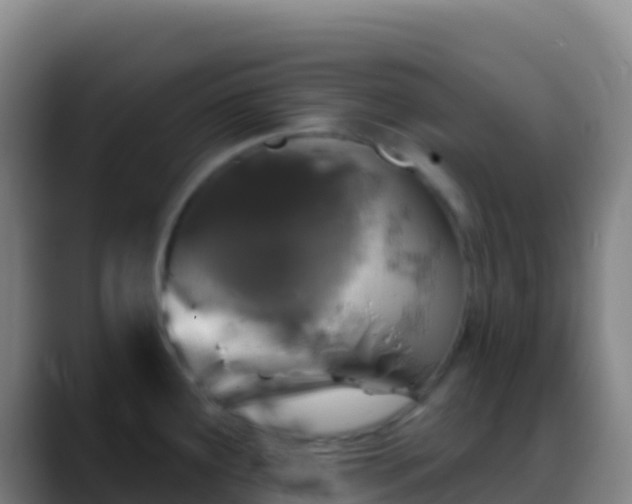 X0000088921291200706151918