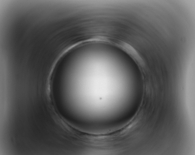 X0000088921292200706151918