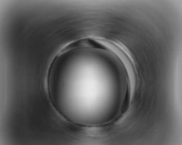 X0000088921293200706151918