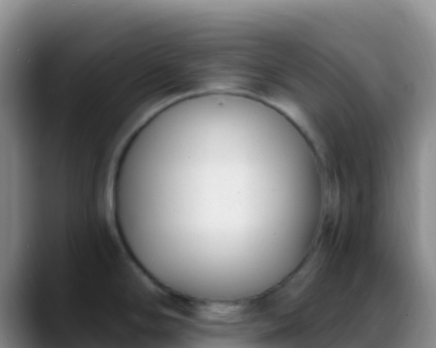 X0000088921294200706151918