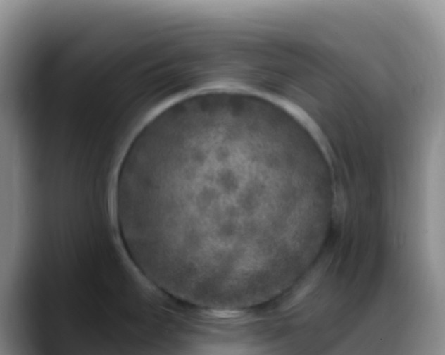 X0000088921295200706151918