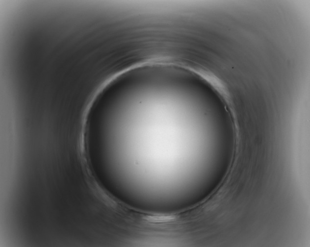 X0000088921296200706151918