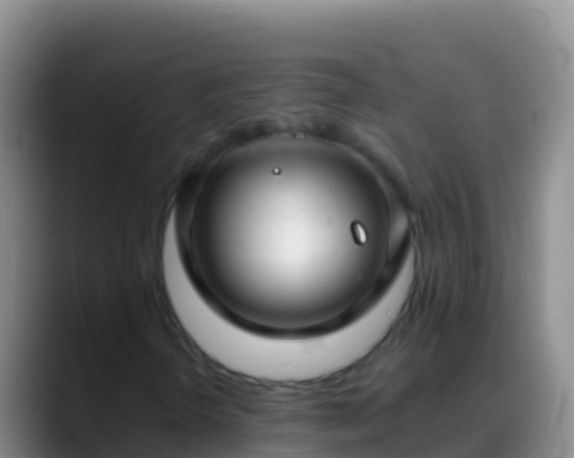 X0000088921298200706151917