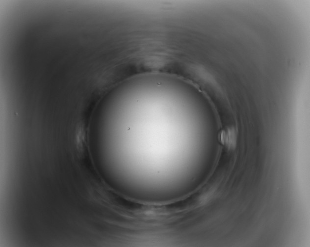 X0000088921299200706151917