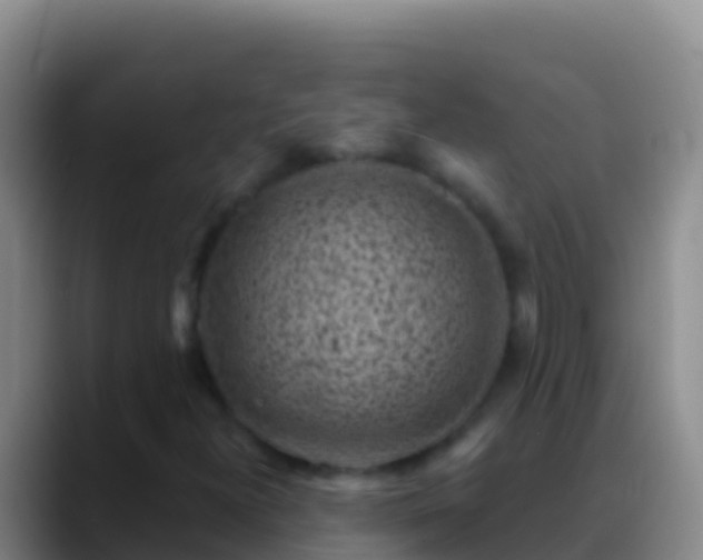 X0000088921300200706151917