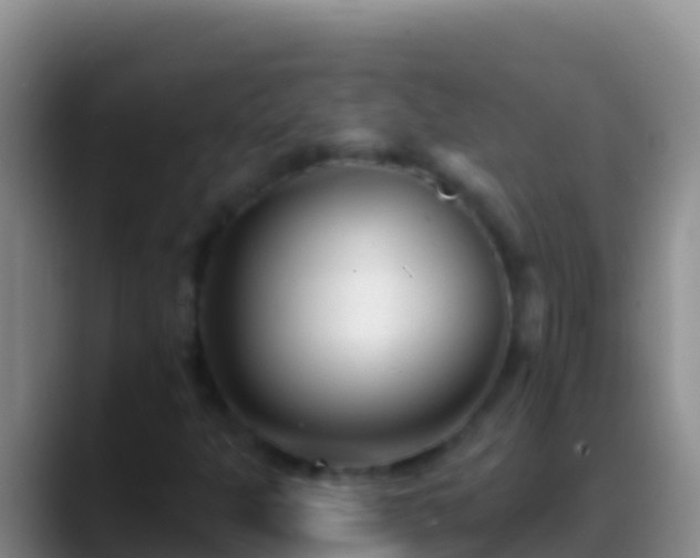 X0000088921301200706151917