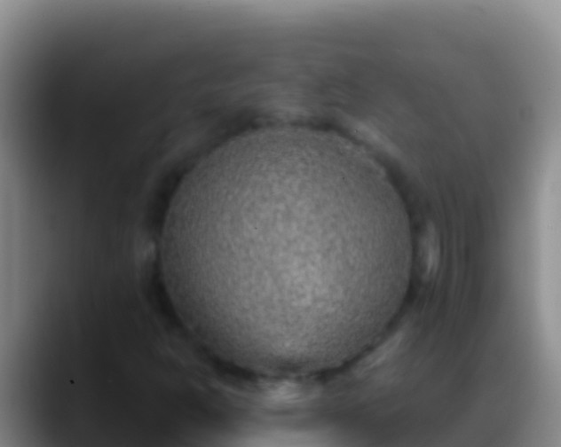 X0000088921302200706151917