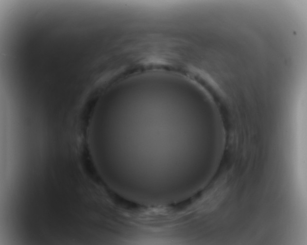 X0000088921303200706151917