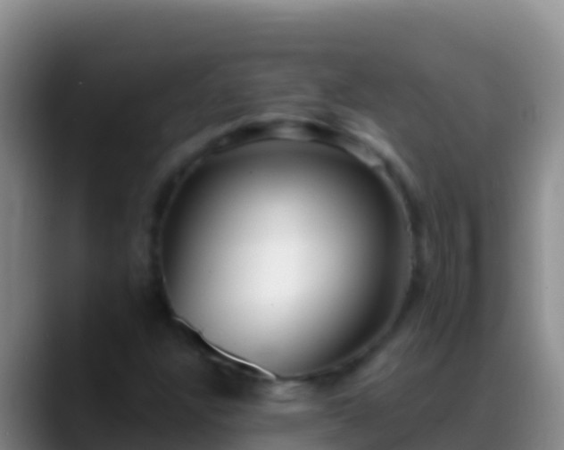 X0000088921304200706151917