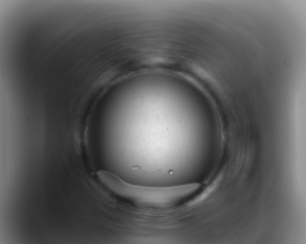 X0000088921305200706151917