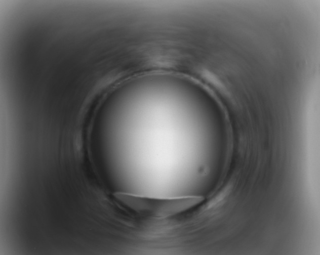 X0000088921307200706151917