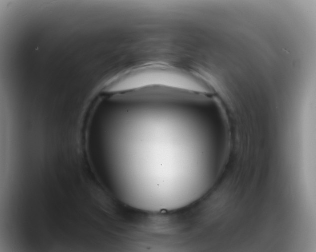 X0000088921308200706151917
