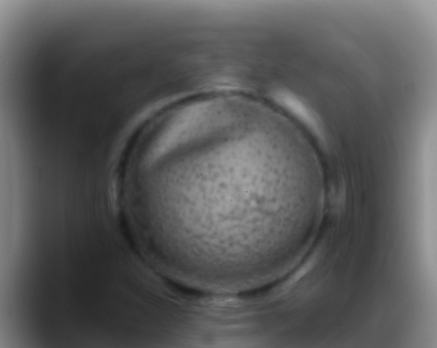 X0000088921310200706151917