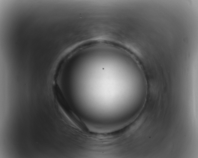 X0000088921311200706151917