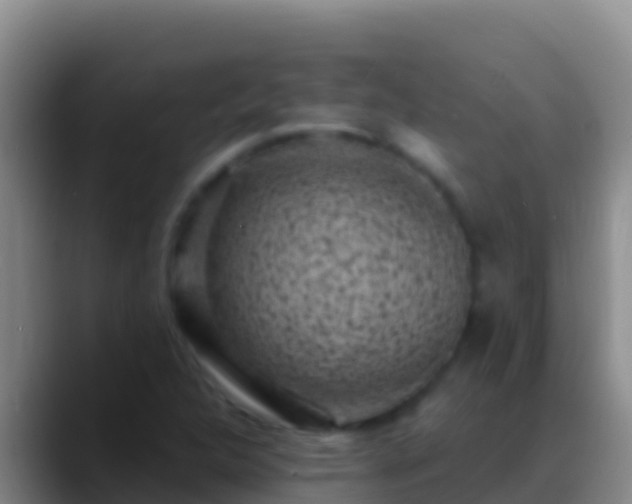 X0000088921312200706151917