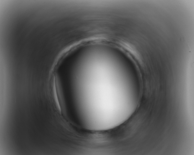 X0000088921316200706151917