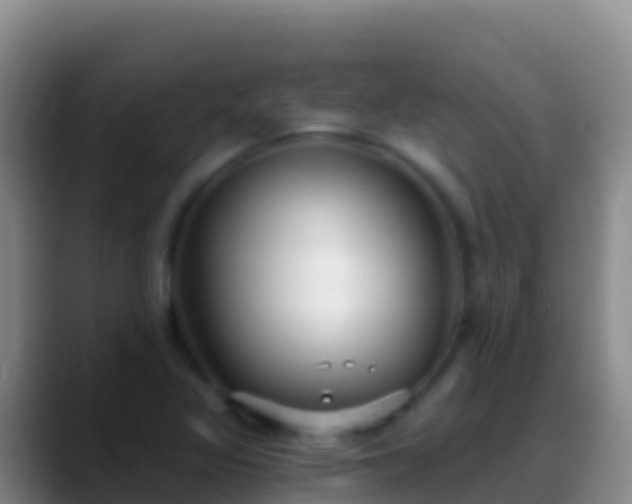 X0000088921317200706151917