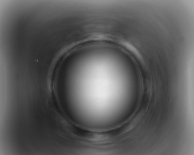 X0000088921318200706151917