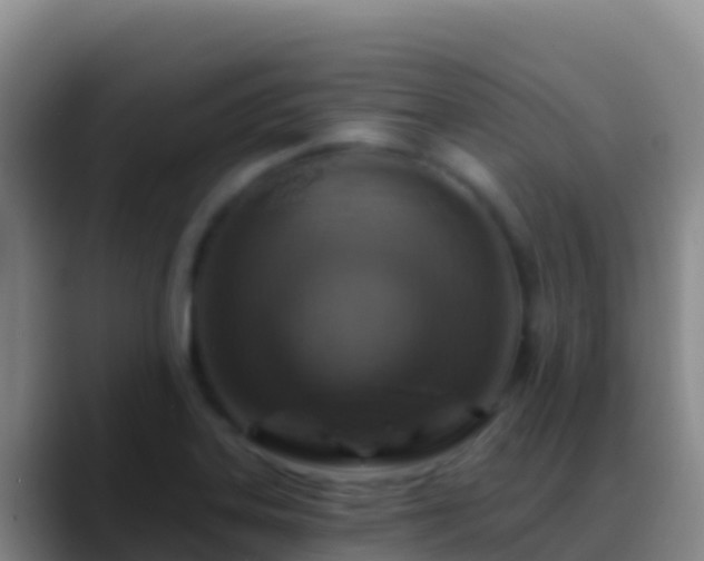 X0000088921323200706151917