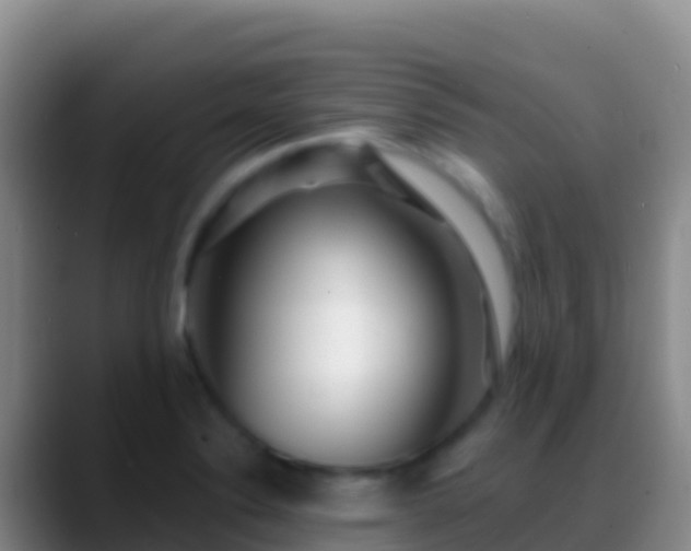 X0000088921324200706151917