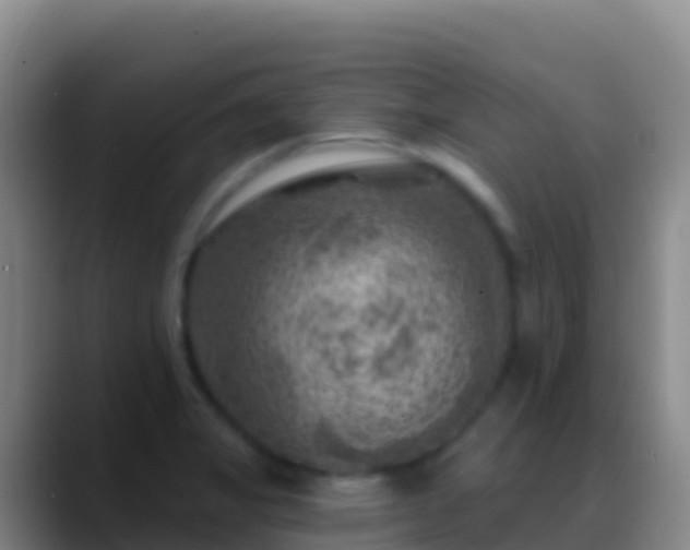 X0000088921325200706151917
