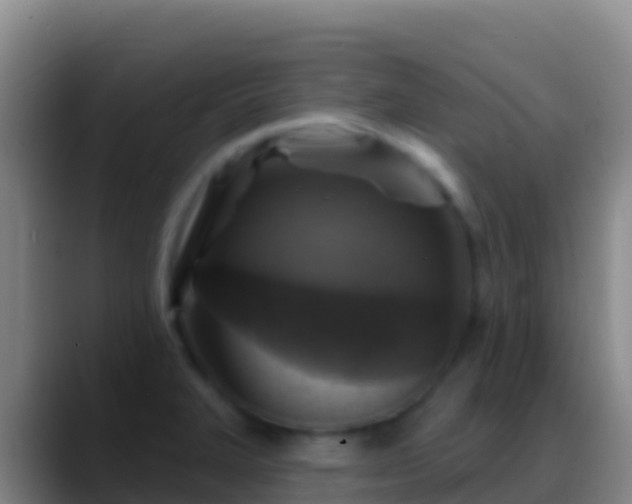 X0000088921327200706151917