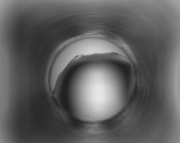 X0000088921328200706151917