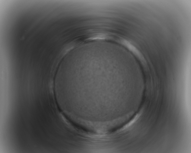 X0000088921329200706151917