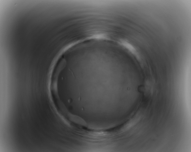 X0000088921331200706151917