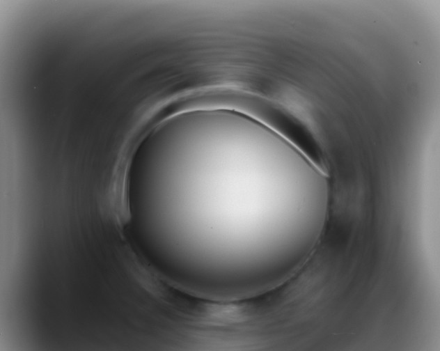 X0000088921332200706151917
