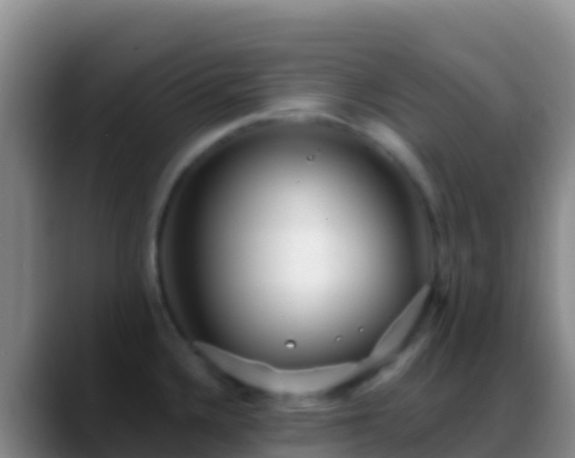 X0000088921336200706151917