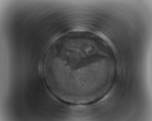 X0000088921337200706151917