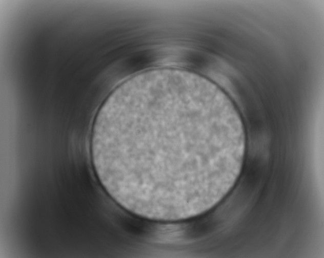 X0000088921338200706151917