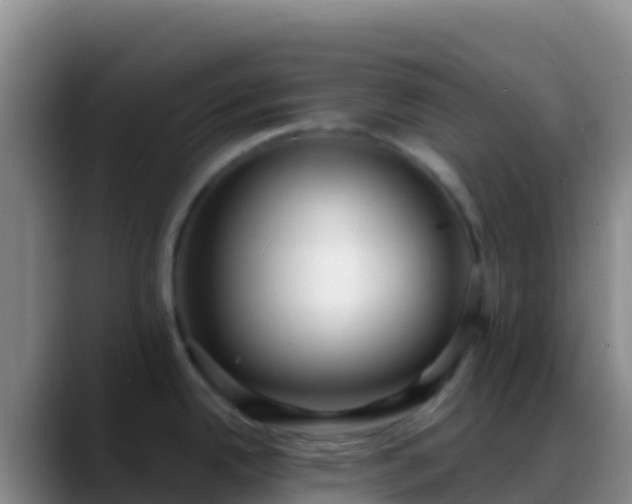 X0000088921342200706151917