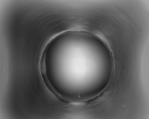 X0000088921344200706151917