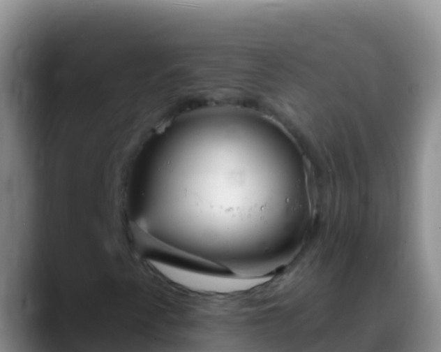 X0000088921345200706151917