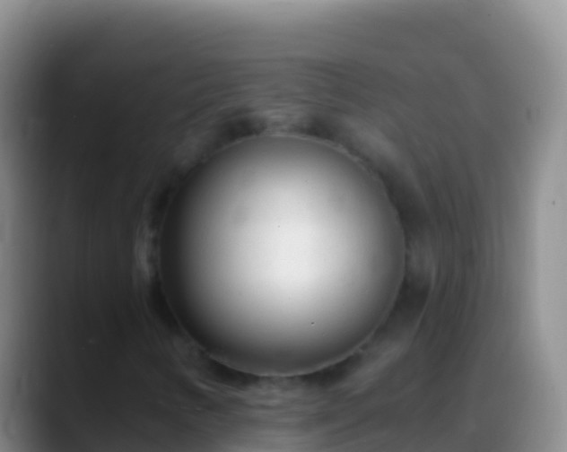 X0000088921346200706151917