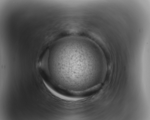 X0000088921348200706151917