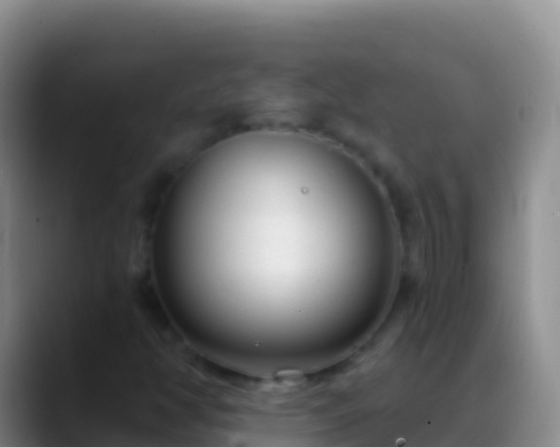 X0000088921350200706151917