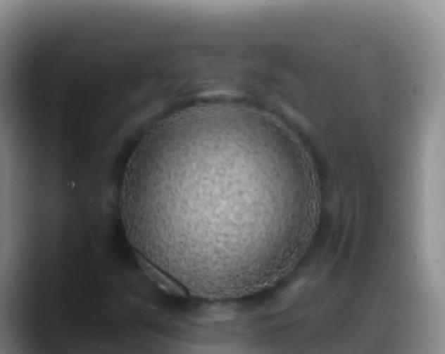 X0000088921351200706151917