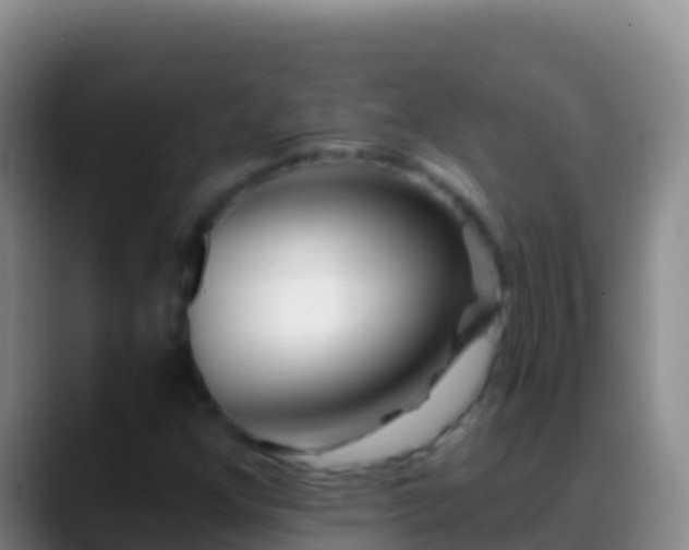X0000088921352200706151917