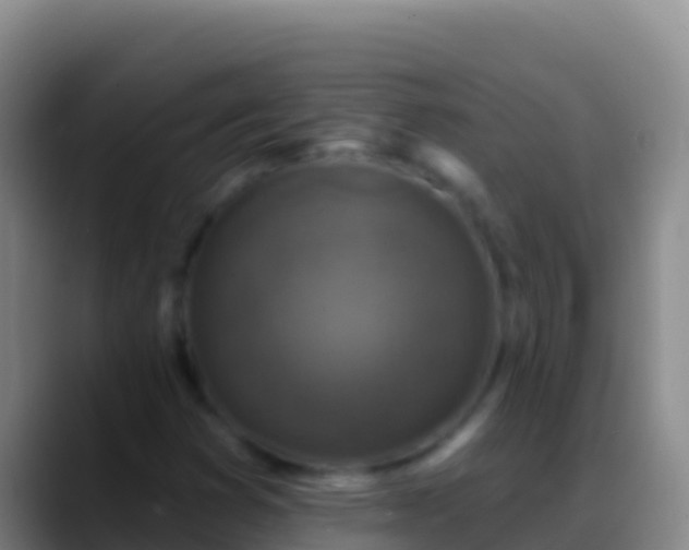 X0000088921353200706151917