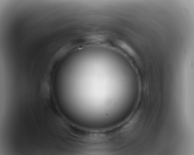 X0000088921354200706151917