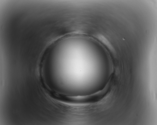 X0000088921356200706151917