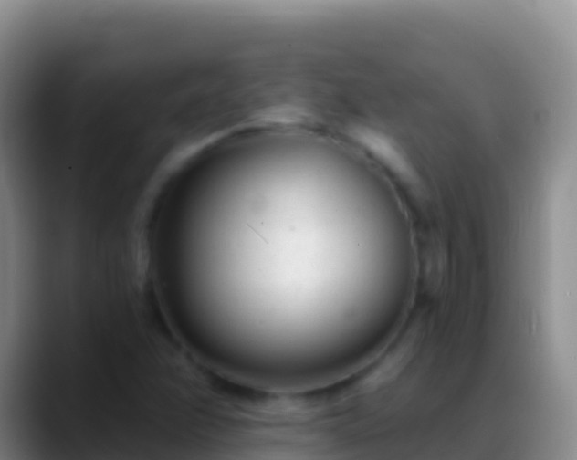 X0000088921358200706151917